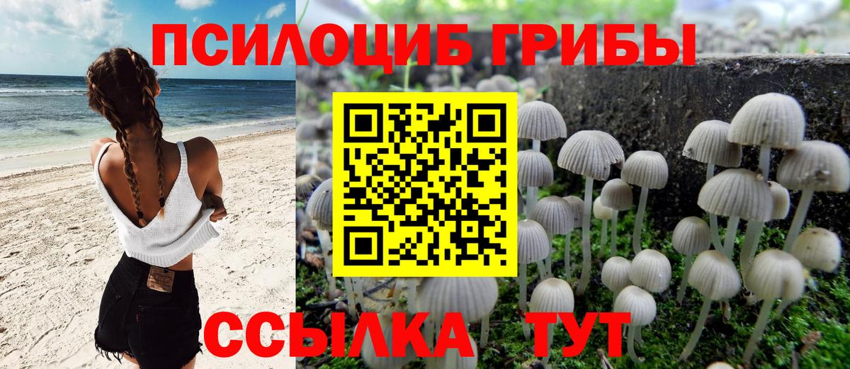 Кушва  Псилоцибиновые грибы Psilocybine cubensis  Вход с VPN  Галлюциногенные грибы MAGIC MUSHROOMS 