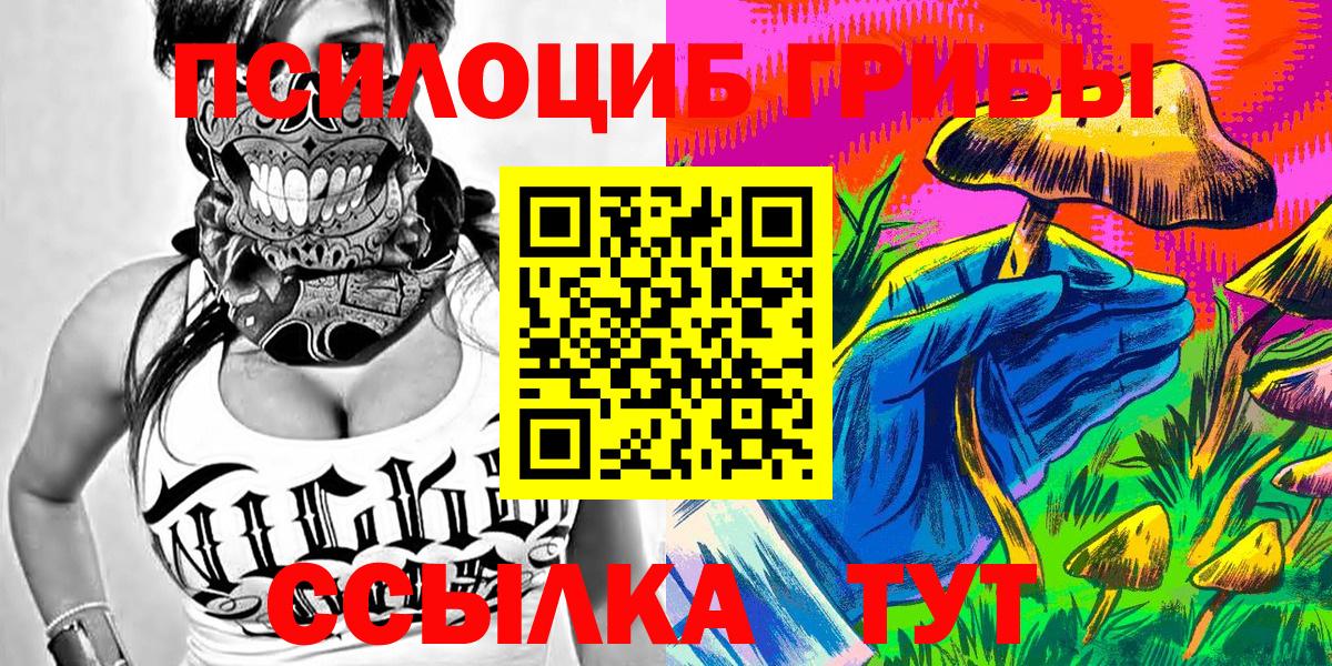 Псилоцибиновые грибы GOLDEN TEACHER Кушва