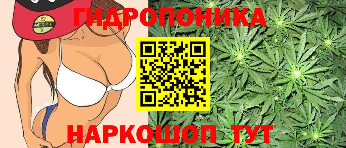 Кушва  Канабис конопля  Конопля White Widow  Канабис Bruce Banner  Вход с VPN  Шишки марихуана ГИДРОПОН 